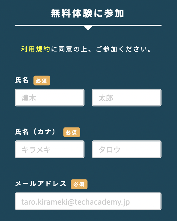手順2：必要事項を入力する