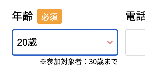 プログラマカレッジの入力フォーム